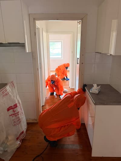 Lead-Based Paint Removal